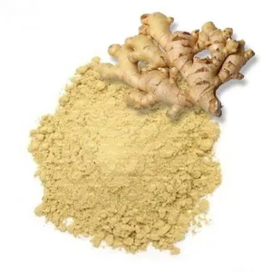Gengibre em pó