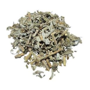 Salvia